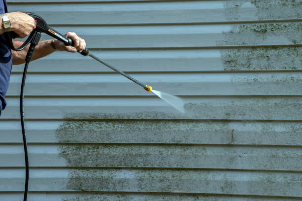 Best Pressure Washing Driveway  in Tye, TX
