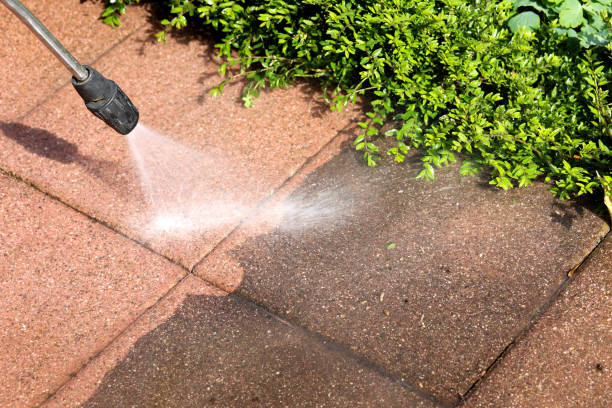 Best House Pressure Washing  in Tye, TX